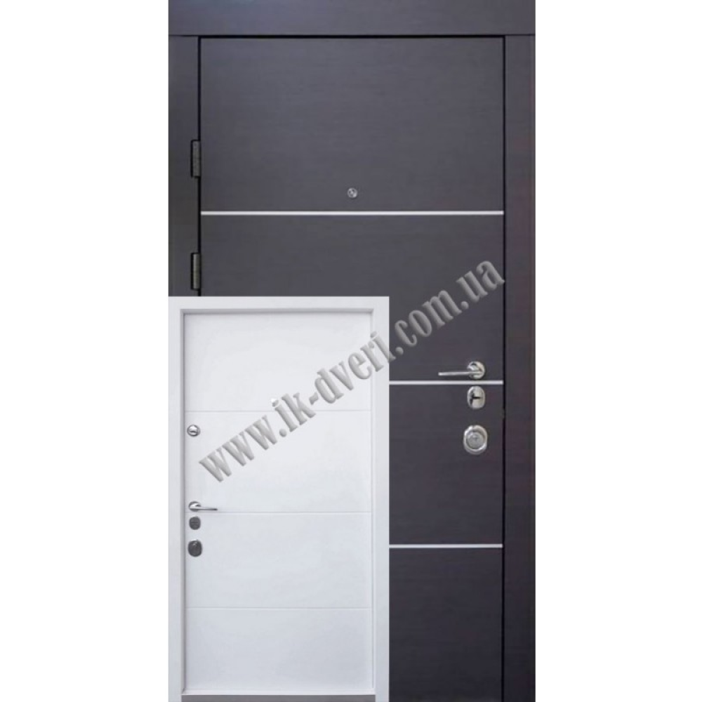 Вхідні двері QDOORS Авангард Горизонт-AL