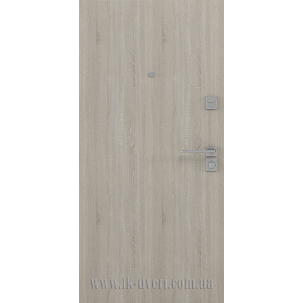Вхідні двері РОДОС Стандарт STZ 006